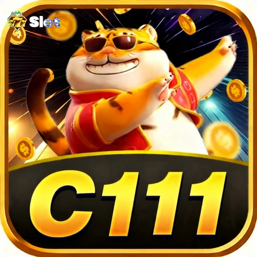 C111 Logo